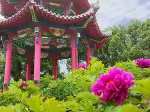 우루무치 식물원