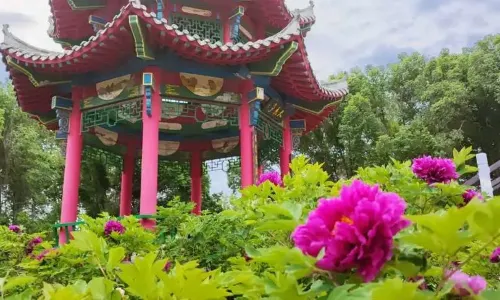 Urumqi Botanical Garden