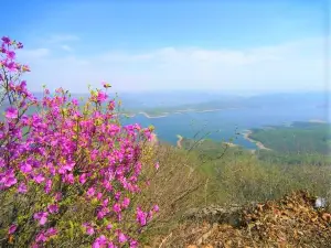 The City of Wunü Mountain
