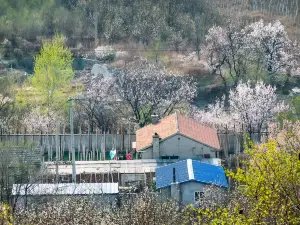 Erdaobaihe