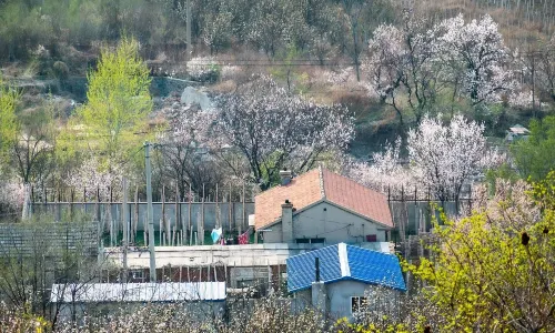 Erdaobaihe