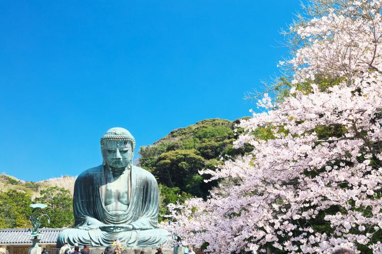 Destinasi Wisata Populer di Kamakura | Trip.com
