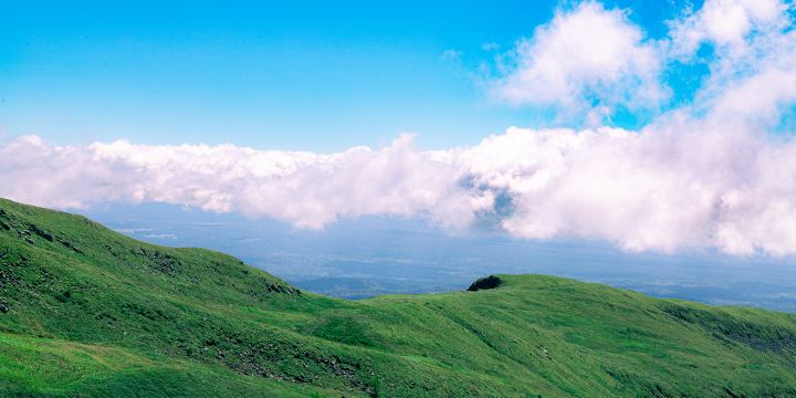Songjianghe Country Forest Park
