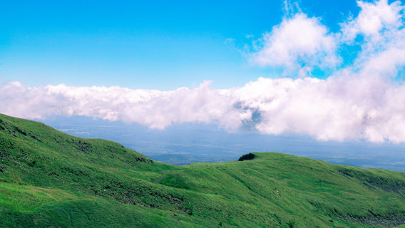 Songjianghe Country Forest Park