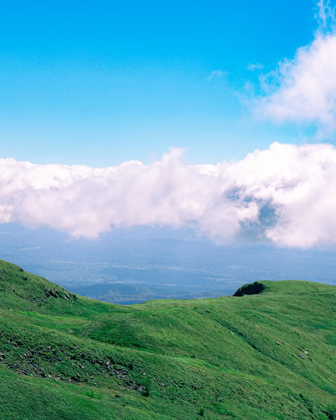 Hotels near Songjianghe Country Forest Park