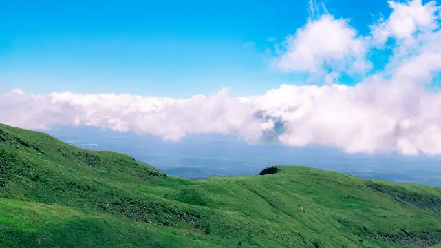 Hotels near Songjianghe Country Forest Park