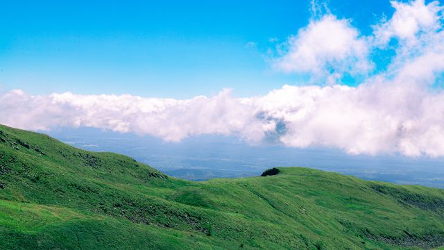 Songjianghe Country Forest Park