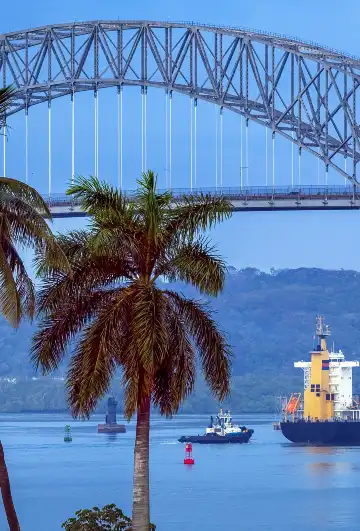 鄰近美洲大橋的酒店