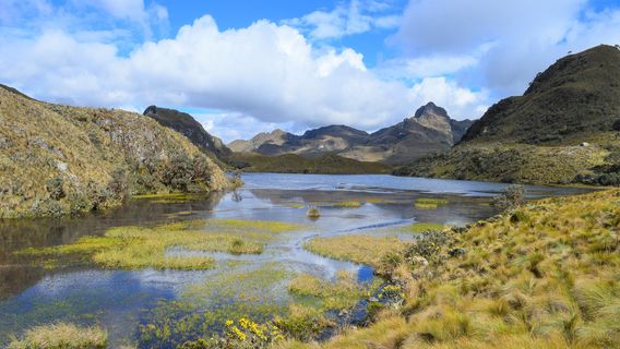 parco nazionale di El Cajas