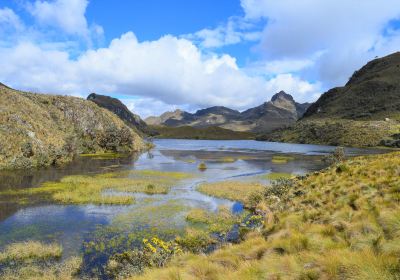 Cajas National Park