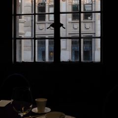 BUND SHANGHAI User Photo