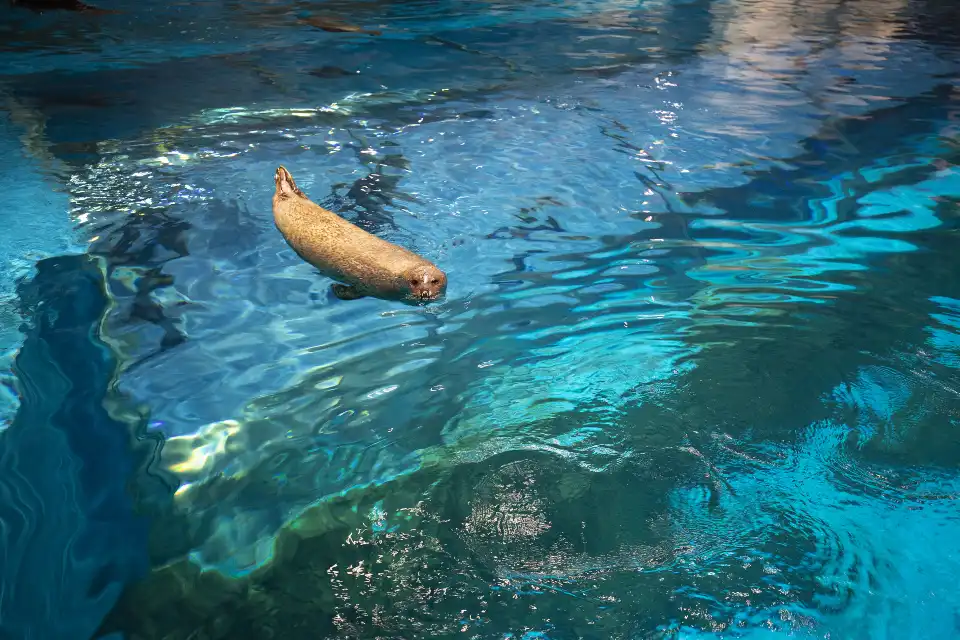 3_Qingdao Aquarium