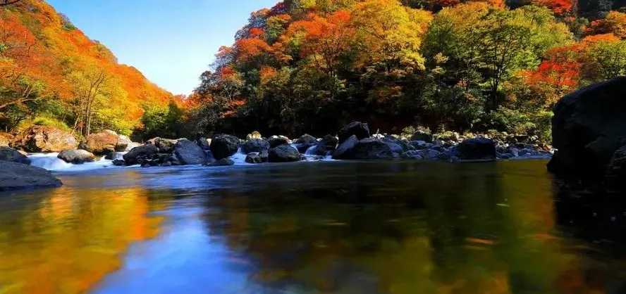 Fall Viewing Attractions