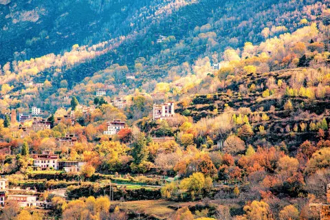 Zhonglu Tibetan Village