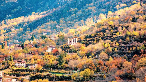 Zhonglu Tibetan Village