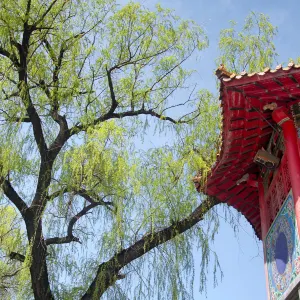 哈爾濱極樂寺