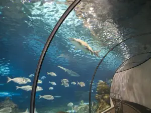 Aquarium Barcelona