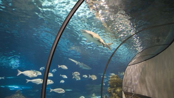 Aquarium Barcelona