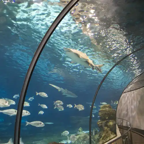 Top 10 Family-friendly Attractions in Barcelona