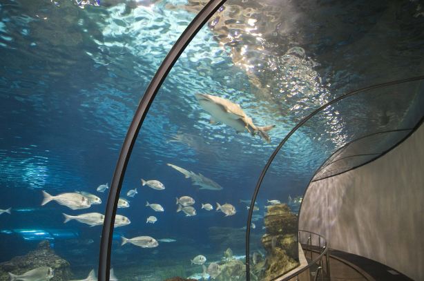 Aquarium Barcelona