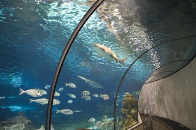 Aquarium Barcelona