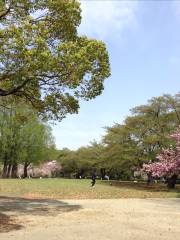 Omiya Second Park