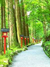 貴船川