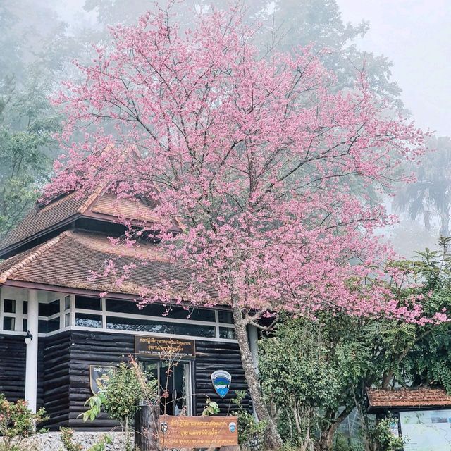 อุทยานแห่งชาติ​ห้วยน้ำดัง