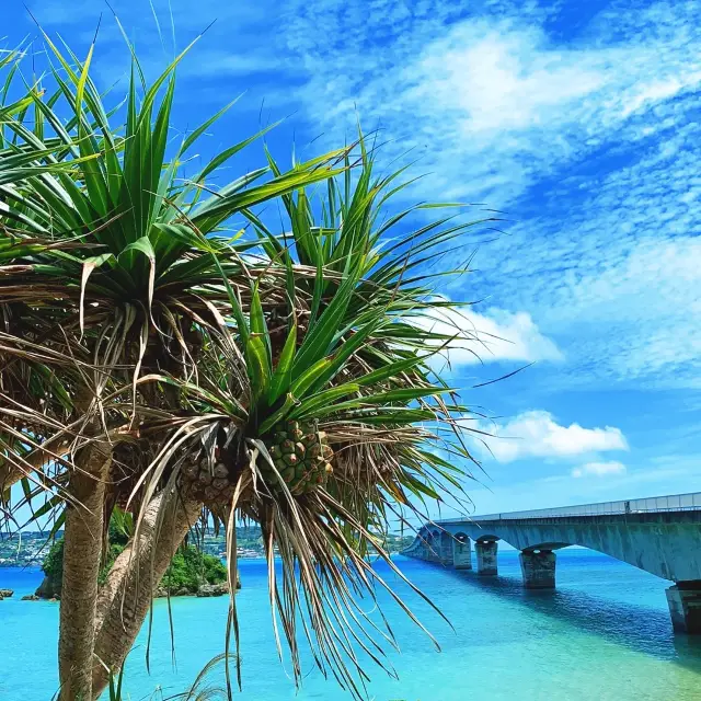 沖縄　橋から見る海は本島屈指の絶景