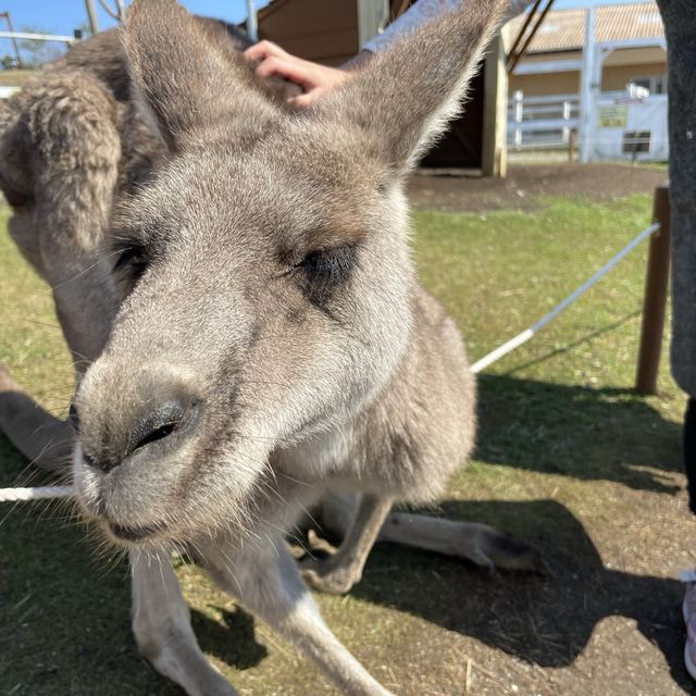 長井海の手ソレイユの丘 
