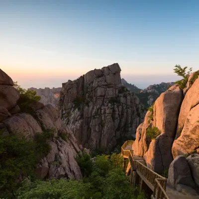 青島 飛 香港