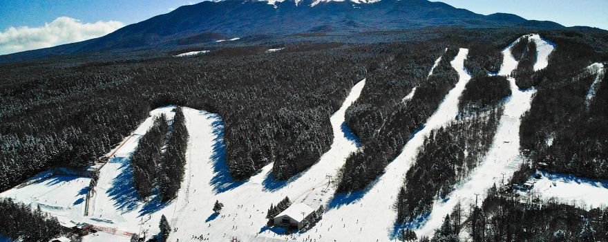 Fujiten Snow Resort