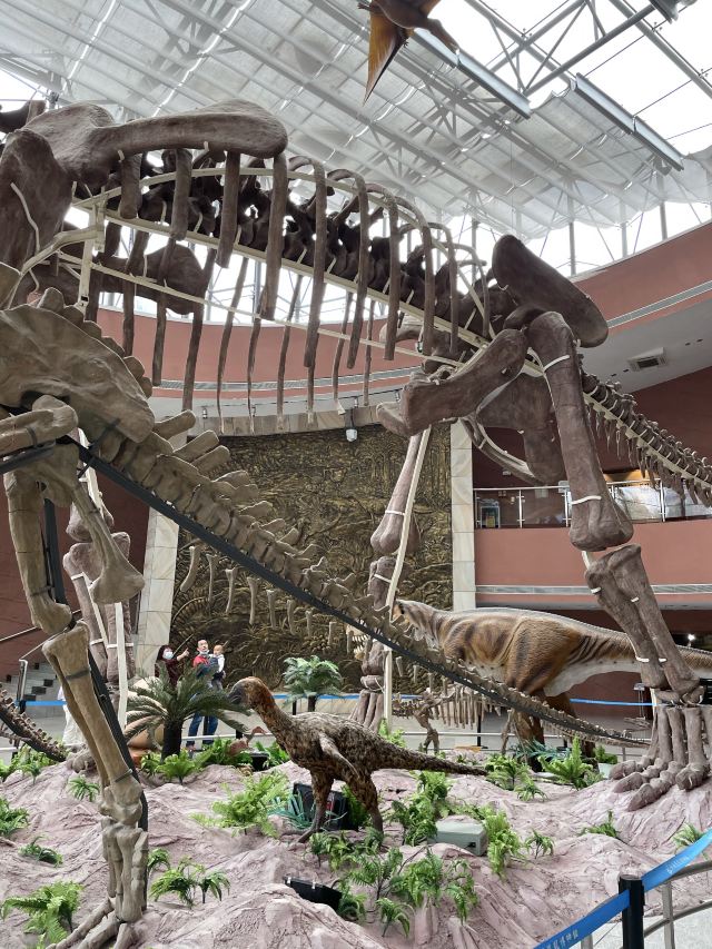 Heyuan City Museum (Heyuan Dinosaur Museum)