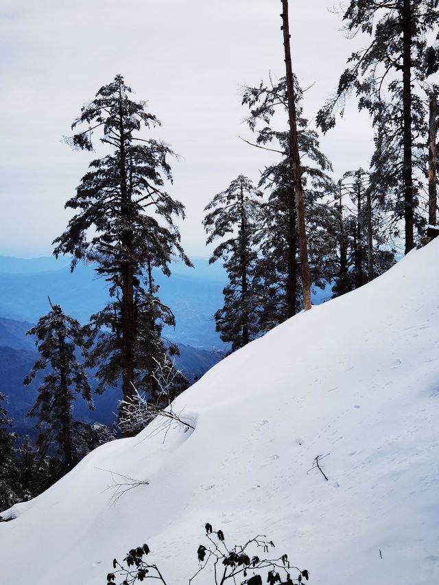 Wawushan Mountain Area