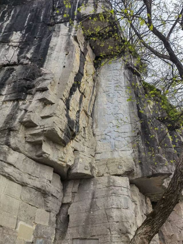 오계비림