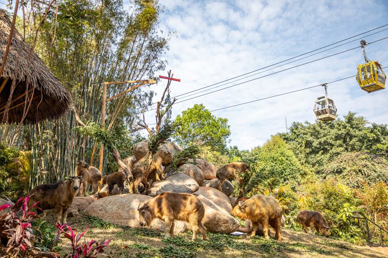 長隆野生動物世界