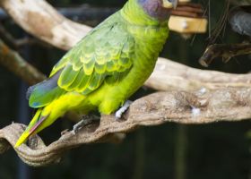 Best hotels near Iguazu Falls