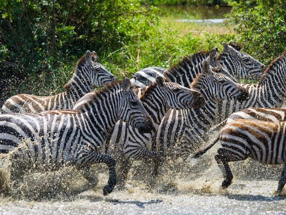 Serengeti National Park