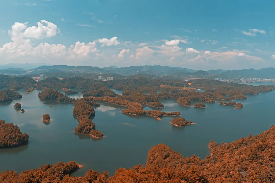 龍山島