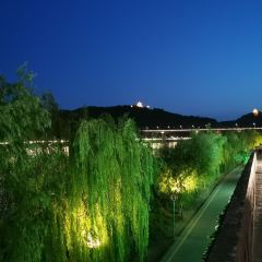 杨氏鱼港 User Photo
