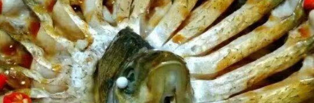 莽山福地野菜馆