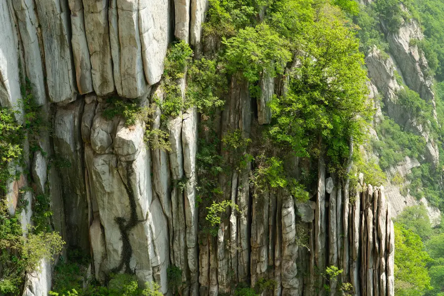 Songbei Forest Park