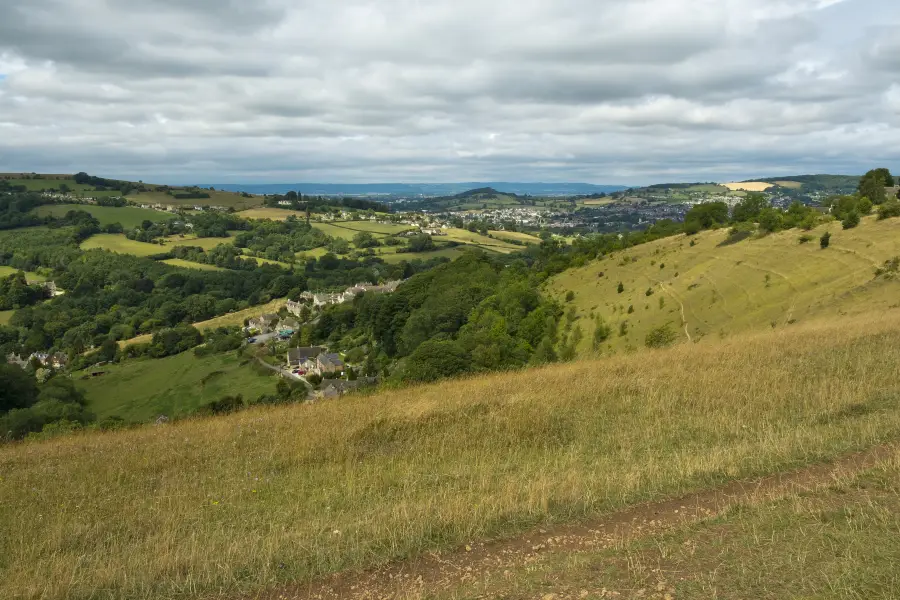 Rodborough Common