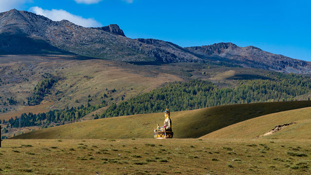 Dragon Light Grassland