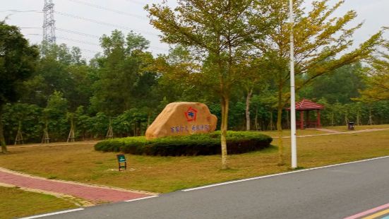 露天矿生态公园位于茂名市市区的西北部，是由一个霞露天采矿区改