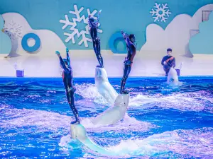 All Love Park Ocean Kingdom