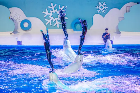 All Love Park Ocean Kingdom
