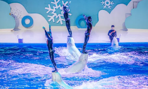 All Love Park Ocean Kingdom
