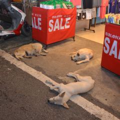 Kenting Night Market User Photo