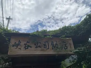 峡谷公司饭店(天目山店)